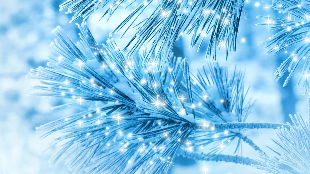 Sparkle Of Snowflakes On Pine >> HD Wallpaper, Get It Now!