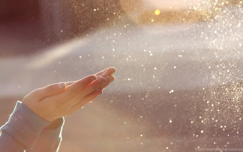 Caring Hands, Sparkle, Sun, 2560x1600 HD Wallpapers And FREE Stock ...