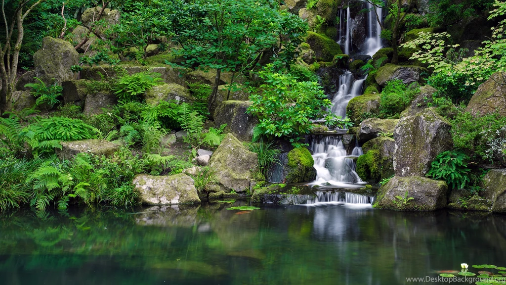 Forest Waterfall Lake 4K Desktop Wallpapers