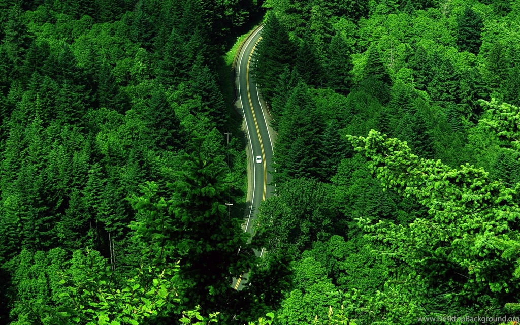 Ariel Forest Road HD Desktop Wallpapers