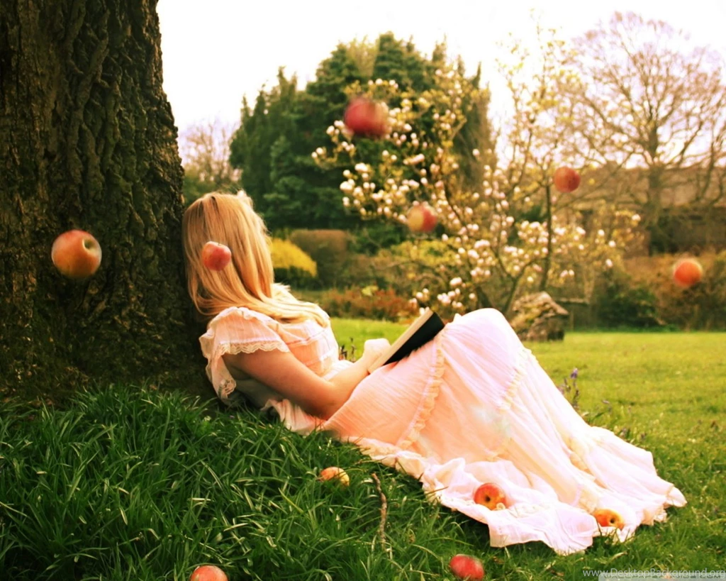 Reading A Book Under A Tree HD Desktop Wallpapers : High Definition ...