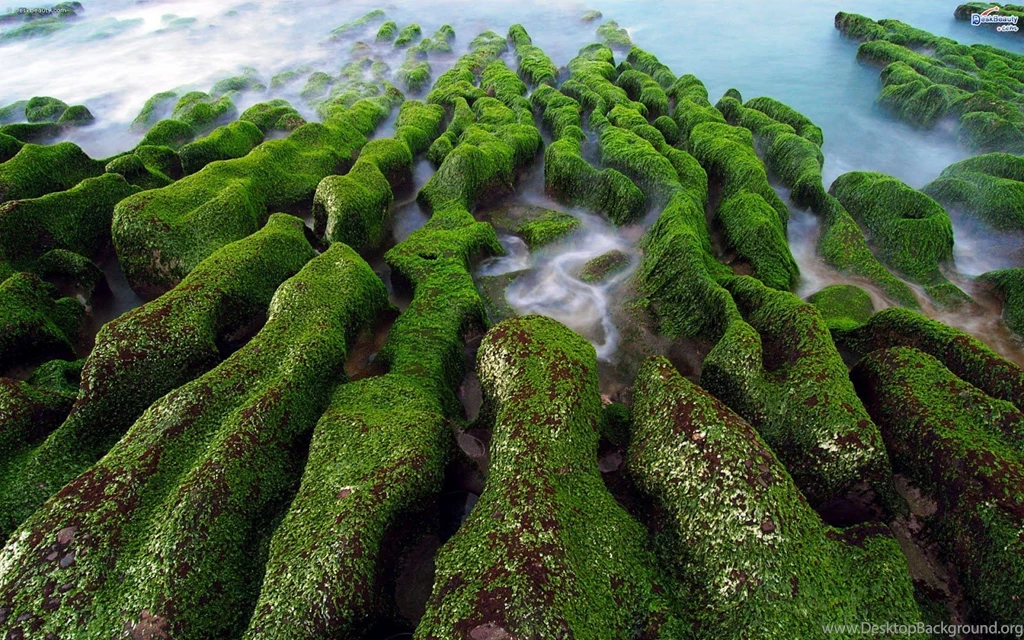 New Amazing Wallpapers 2014