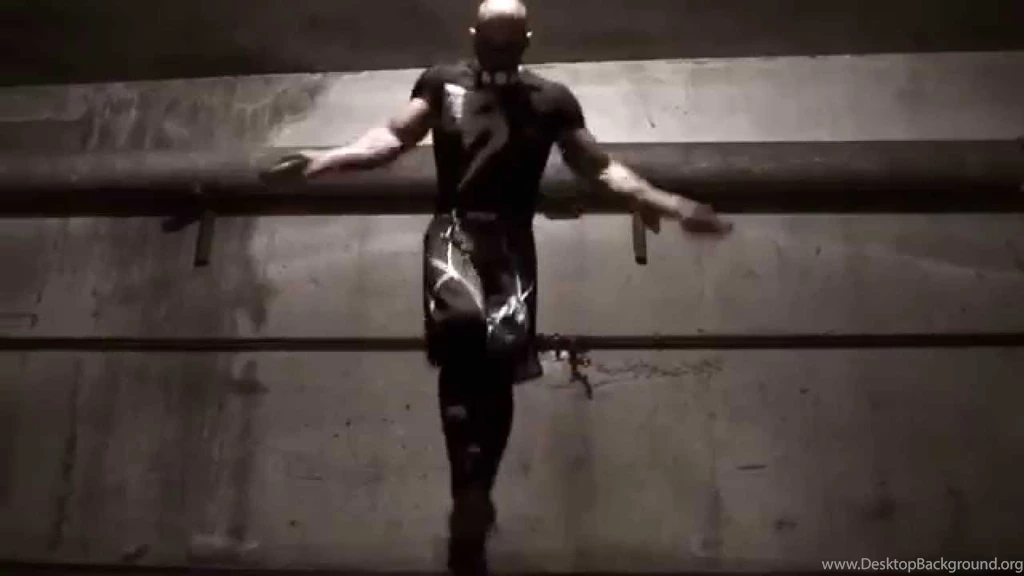 MMA Traning By Venum Fight YouTube