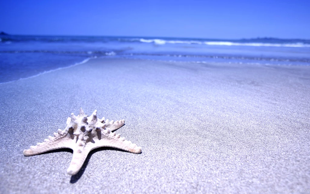 Beach Beach 1920x1200px ► High Definition Photo