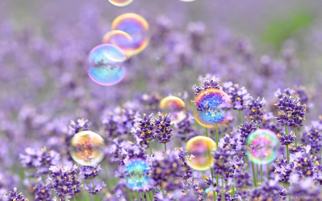 Spring Wallpapers