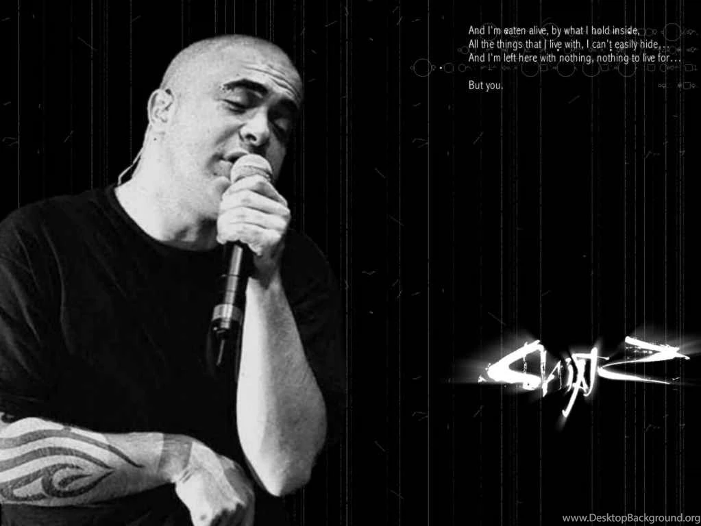 S B S Wallpapers