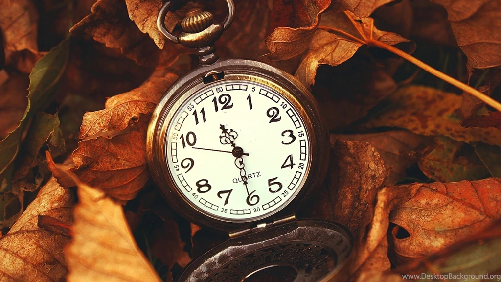 Download Wallpapers 3840x2160 Leaves, Time, Macro, Nature, Hours 4K ...