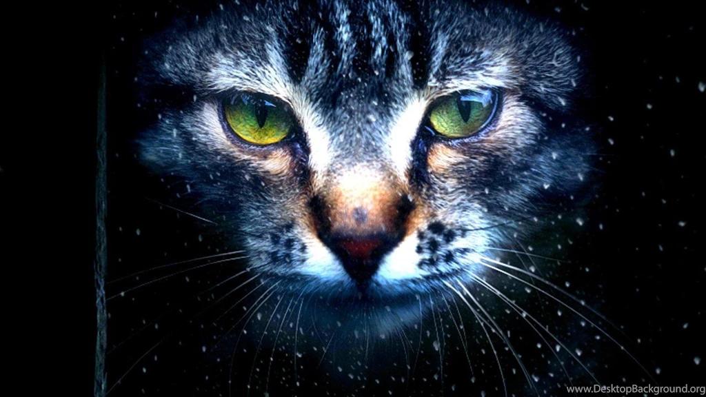 GLOW IN THE DARK WALLPAPER (