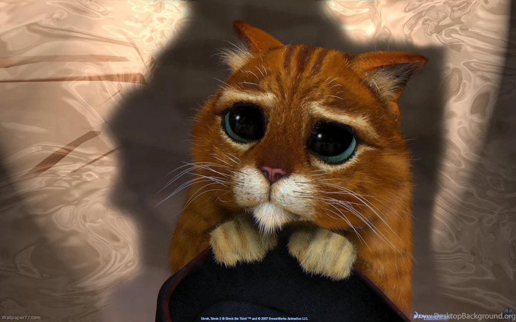 Shrek 2 Cat, 1440x900 Pixels : Wallpapers Tagged Fun Wallpapers ...