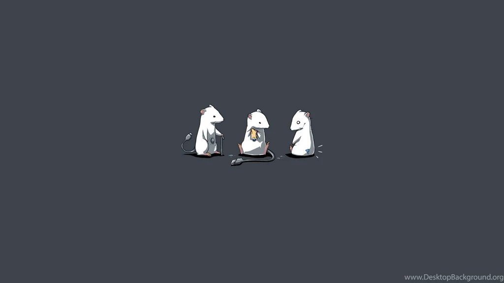 Wallpaper: Funny, Fun, Mice, Grey Backgrounds Wallpapers