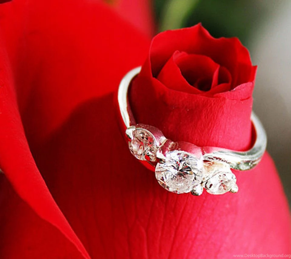 Ring Flikie Wallpapers