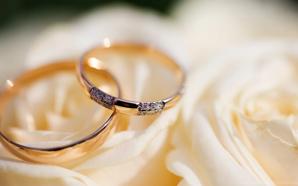 Wedding Rings Wallpaper Backgrounds 2826 2560x1600 UMad.com