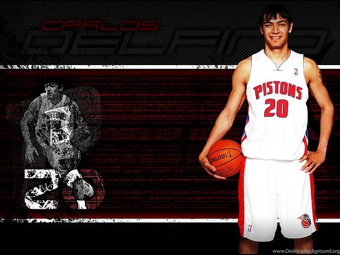 NBA Detroit Pistons Carlos Delfino Pictures 14   Wallcoo.net