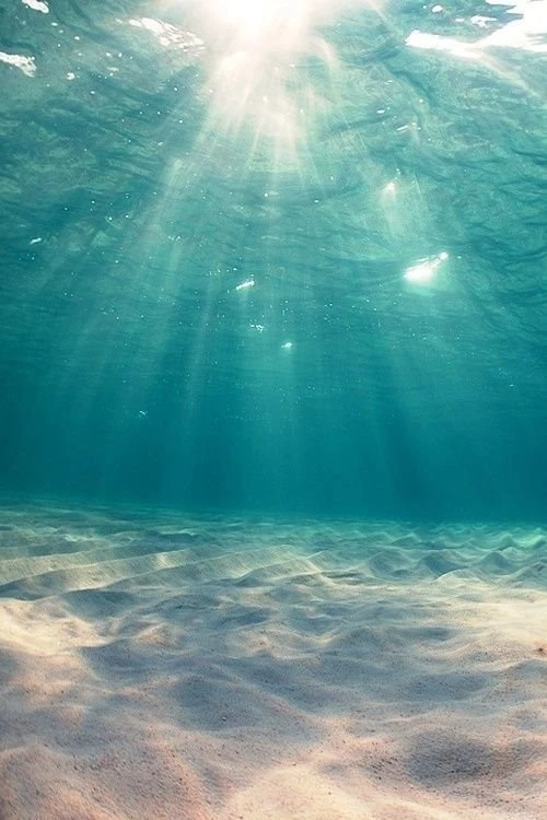 iPhone 5 Wallpapers