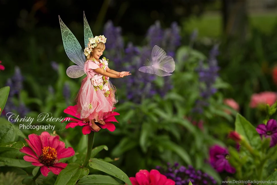 Butterfly Or Animal Fairy Backgrounds And Overlay Set