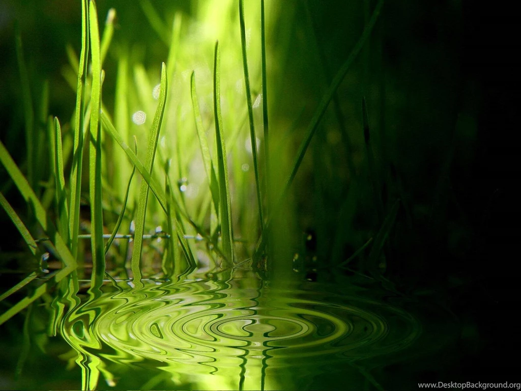 Fairy Backgrounds Photo By A_daniel