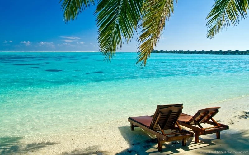 Ocean,beach Ocean Beach Palm Maldives Indian 2560x1600 Wallpapers ...