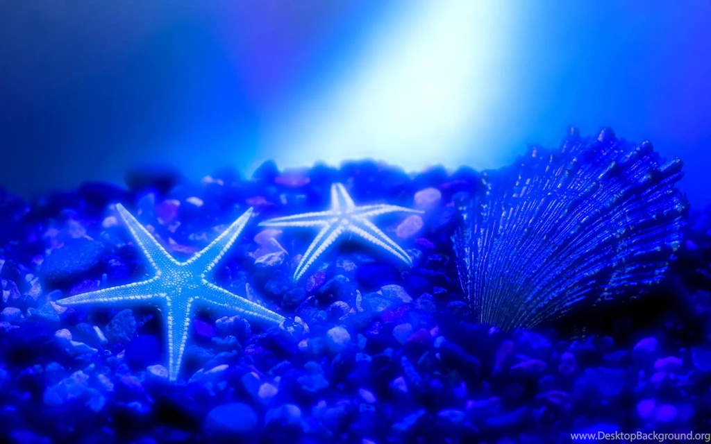 Wallpaper, Vault, Desktop, Wallpapers, Blue, Stage, Ocean ...