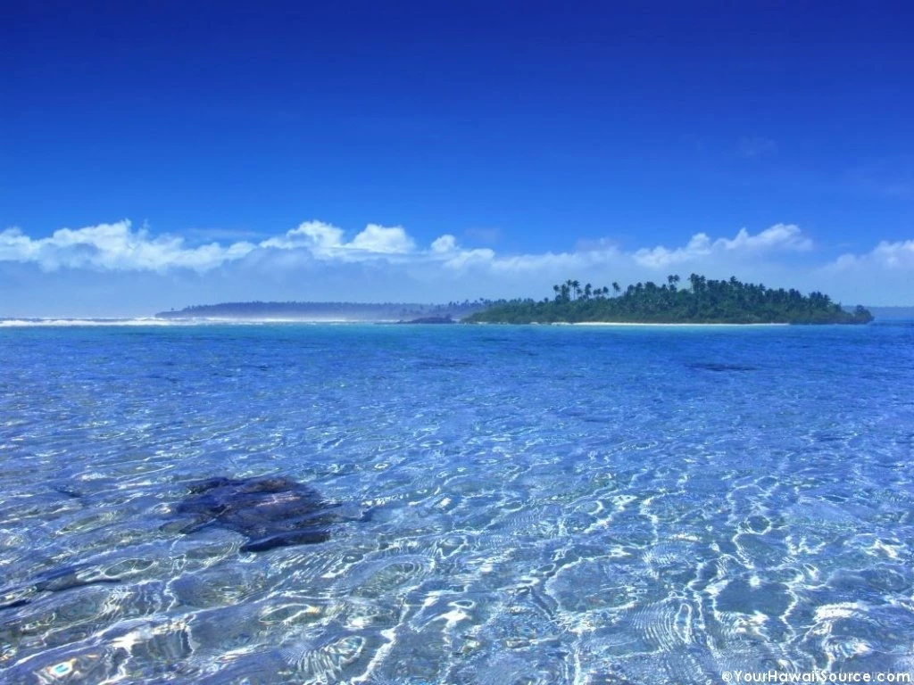 Wallpapers Ocean