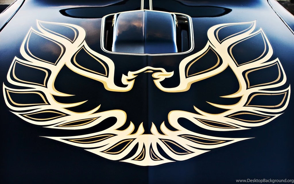Firebird Wallpapers By Danitzh On DeviantArt