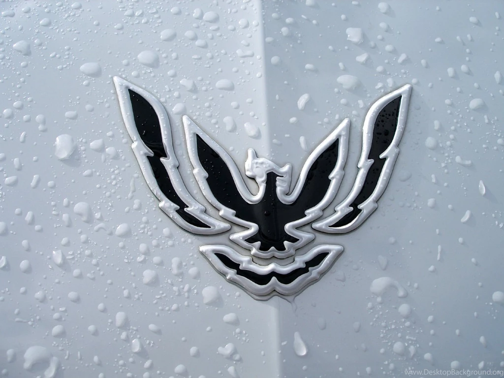 Firebird Logo Wallpapers By RawrImAMonster On DeviantArt