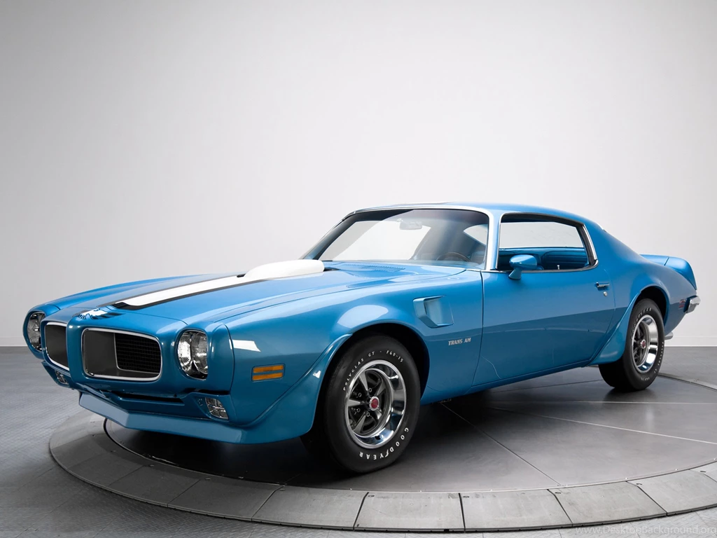 Pontiac Firebird 2013 Image