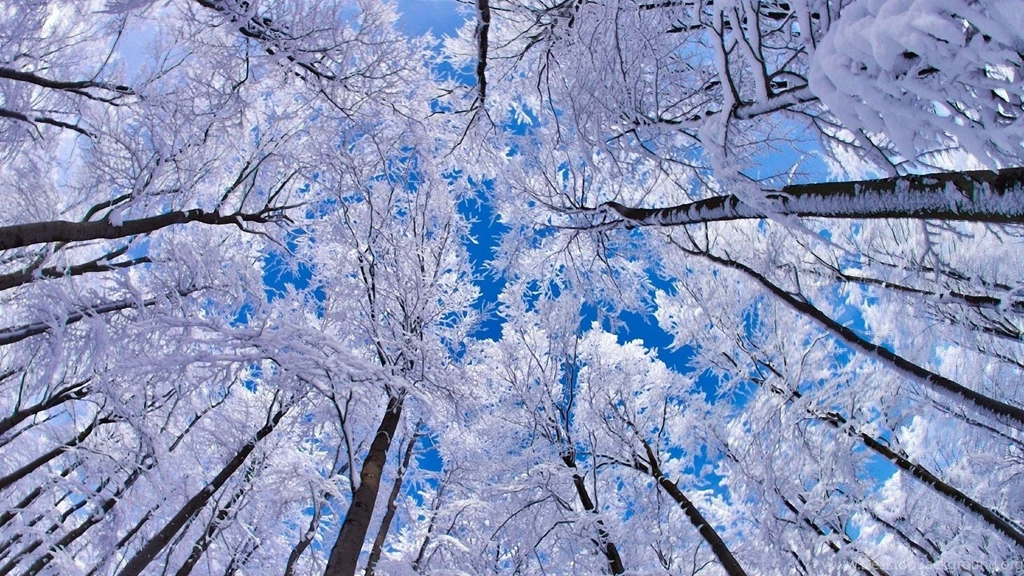 Snowy Mountain
