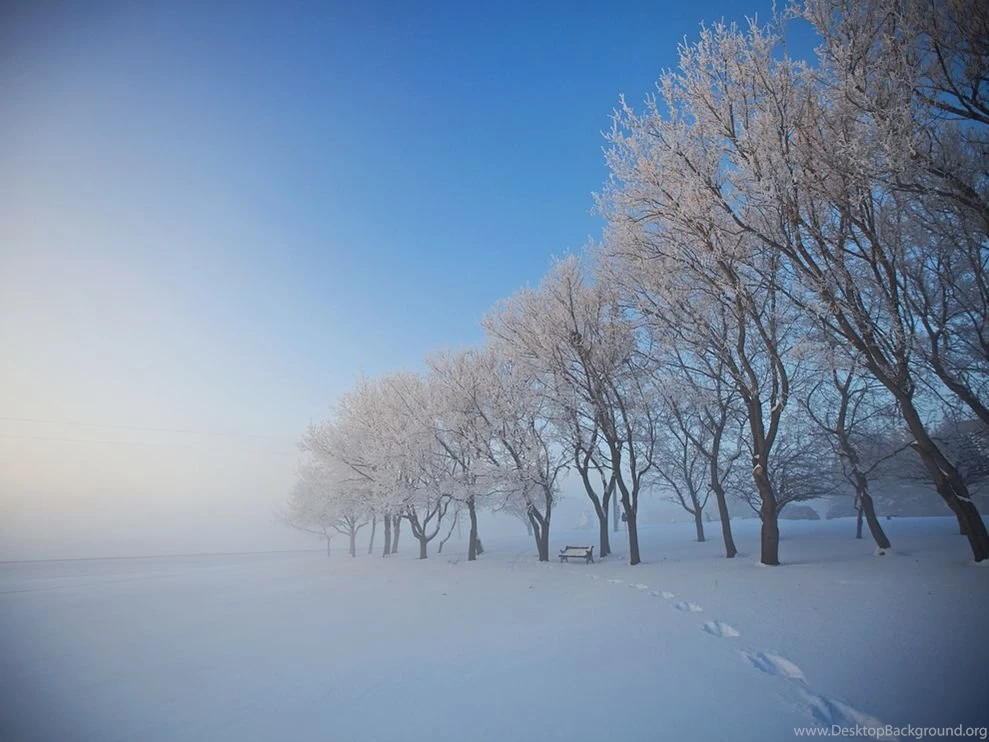 Canada Photo – Snow Wallpapers – National Geographic Photo Of The Day