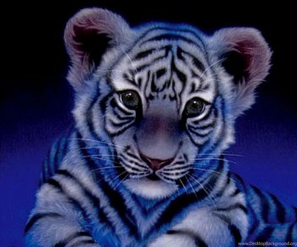 Tiger Phone Wallpapers Wallpapers HD Fine