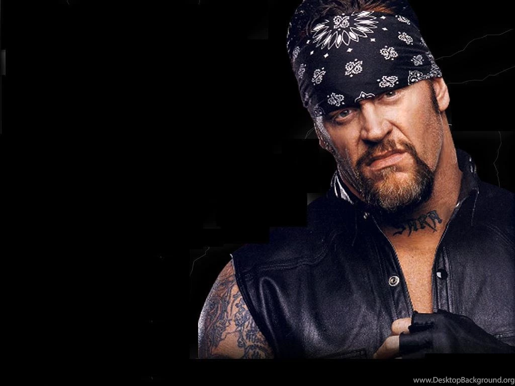 WWE Wallpapers 1024x768 Wallpapers Cave
