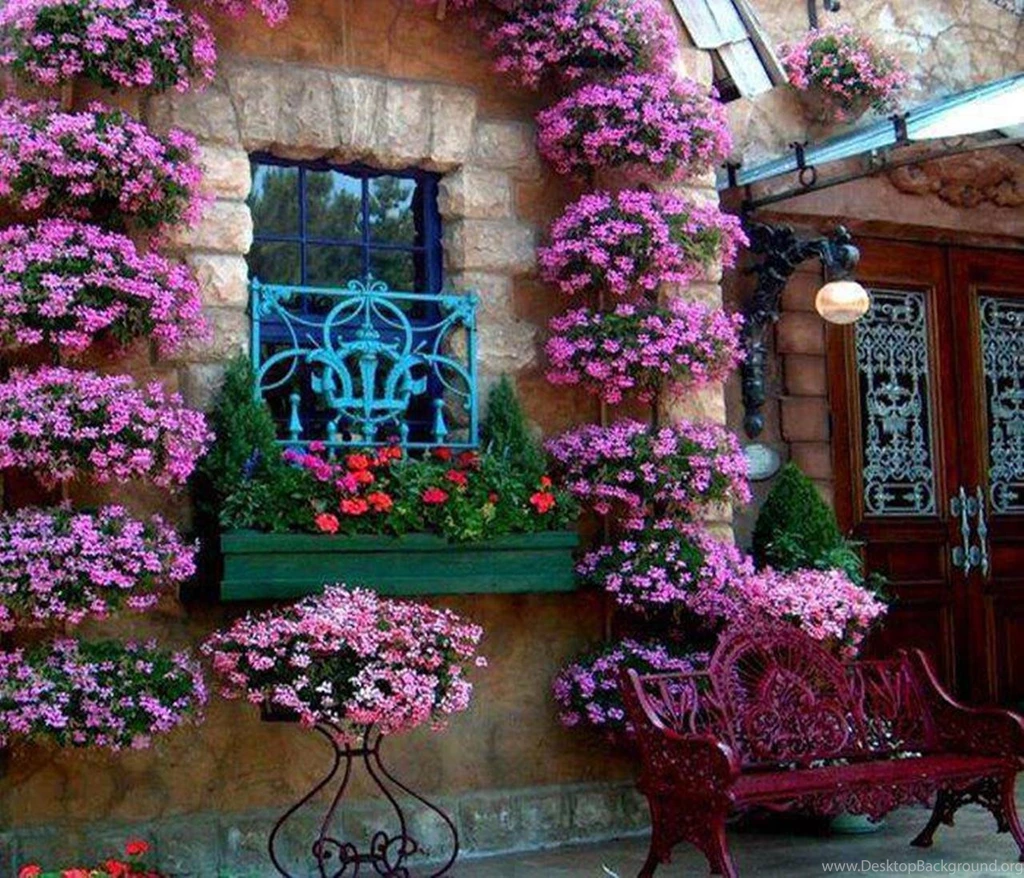 Dream Home (