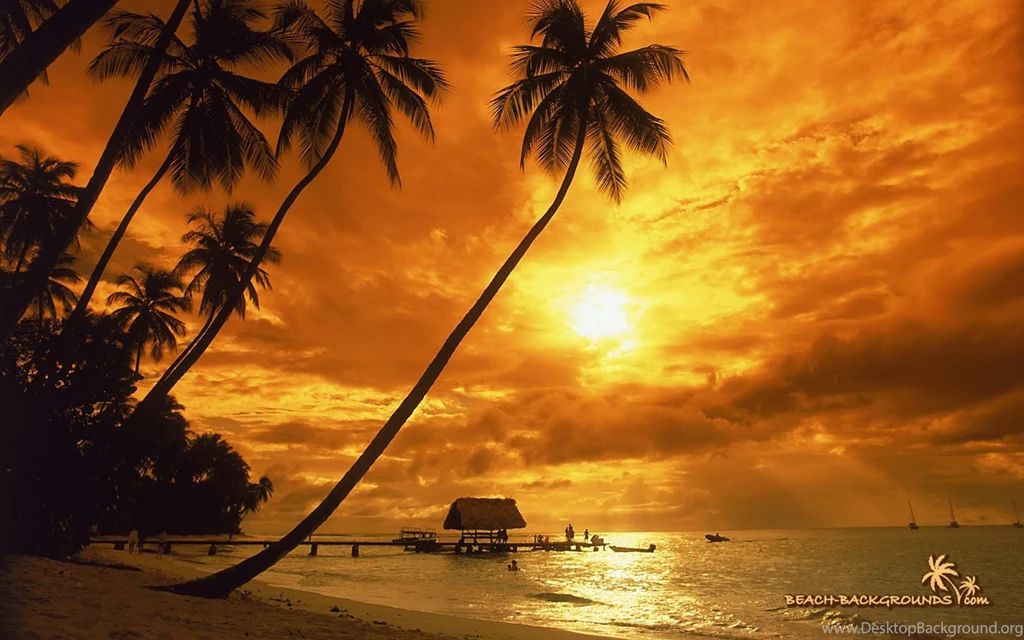 Free Games Wallpapers: Free Sun Set Wallpaper Download Online