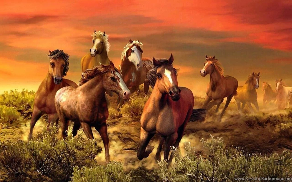 Horse Wallpapers Android Apps On Google Play
