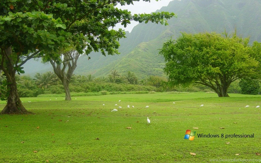 Windows 8 Backgrounds High Resolution Wallpapers For Your PC With ...