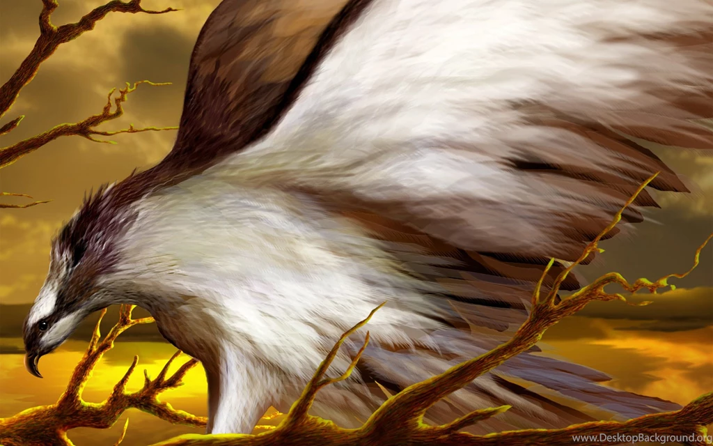 Kites Birds Hd Wallpapers   Free Hd Wallpapers