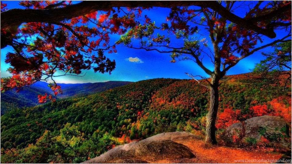 Amazing HD Nature Wallpapers Android Apps On Google Play