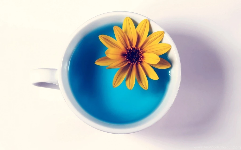 Cute Flower Wallpapers