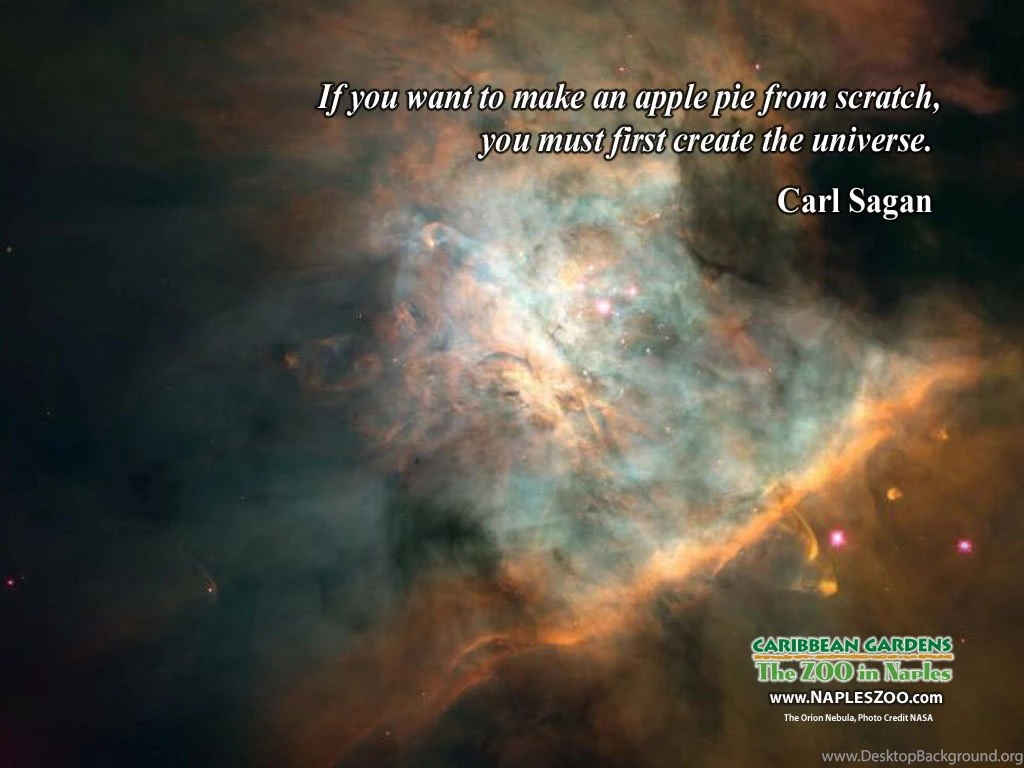 Carl Sagan Need Plz Anyone Got Decent