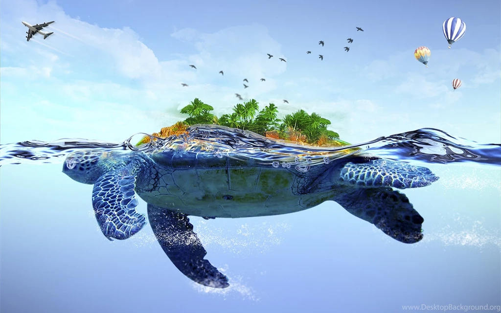 Turtle And Airplane Water Backgrounds Wallpapers
