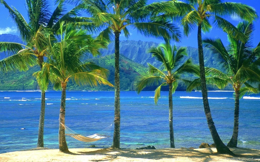 Free HQ An Empty Hammock Kauai Hawaii Wallpapers Free HQ Wallpapers