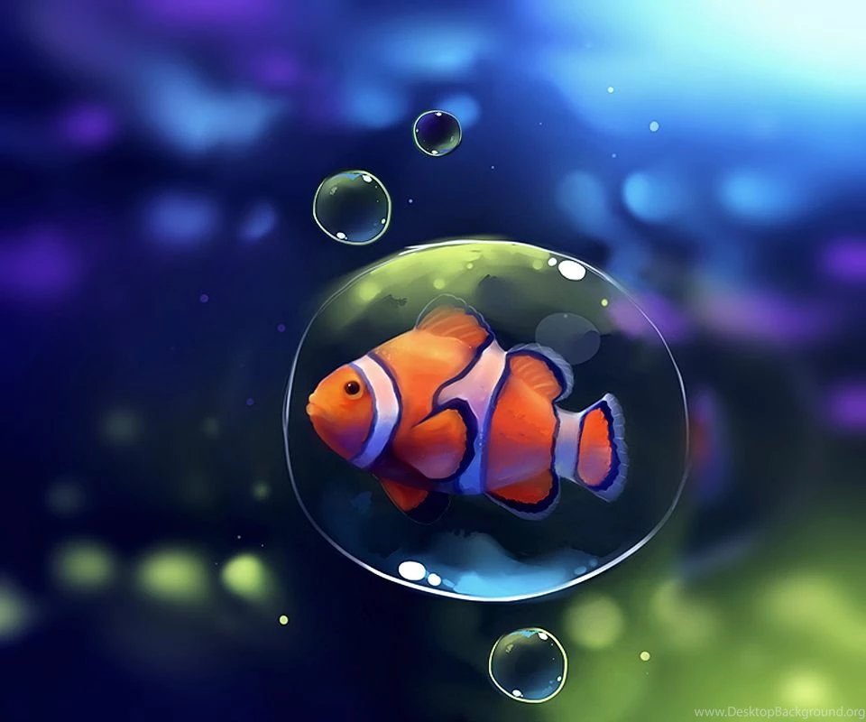 Clownfish Wallpapers Wallpapers Cave