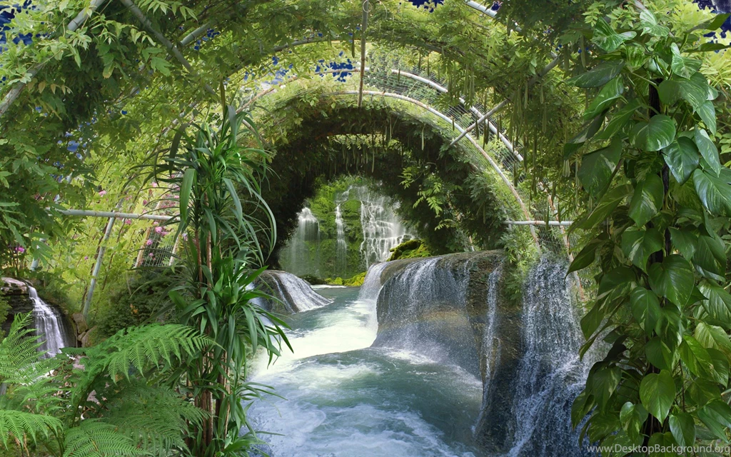 Greenhouse Waterfall Plants Wallpapers