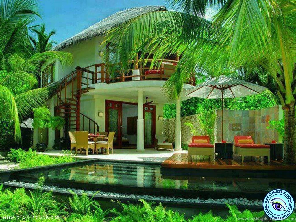 View Beautiful Greenhouse Picture Wallpapers In 1024x768 Resolution
