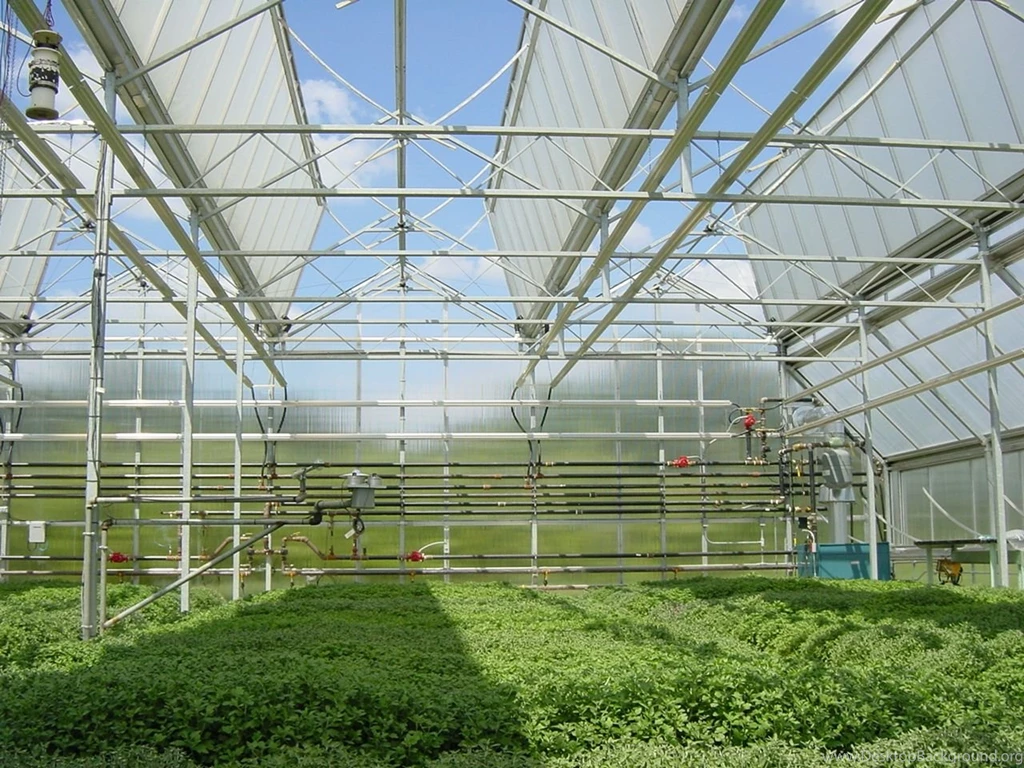 Wallpapers Candy Buffet Greenhouse Misting Systems Sprinkler ...