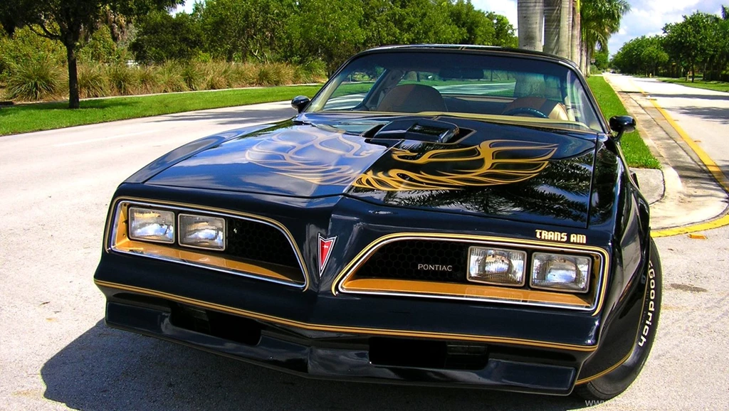 Happy Birthday Bandit! Trans Am Dump