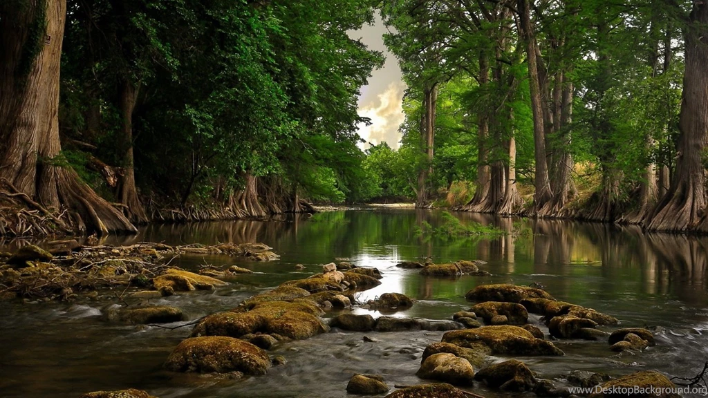Some Nature Wallpapers In Hd 1366x768 Resolution