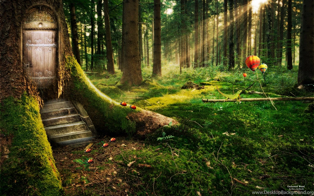 Forest Path Desktop Backgrounds Wallpapers Zibrato