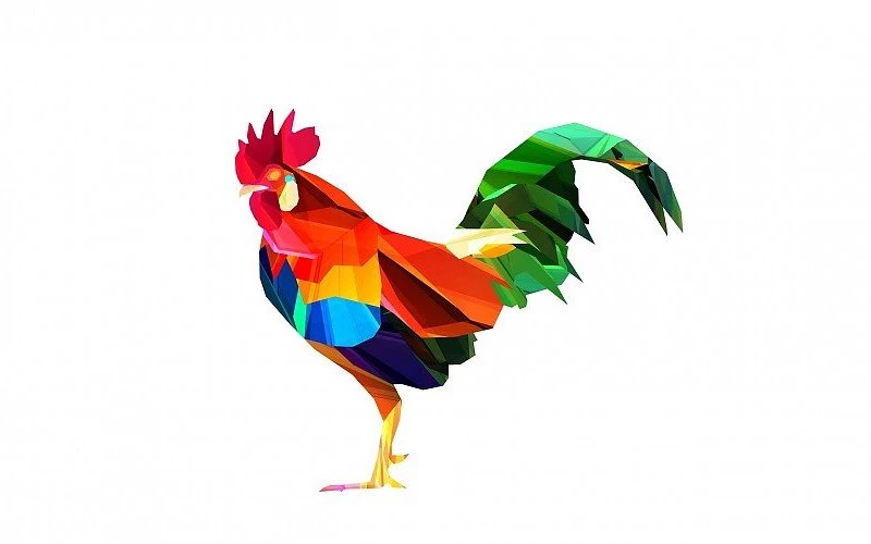 Old Rooster Free Desktop Backgrounds And Wallpapers