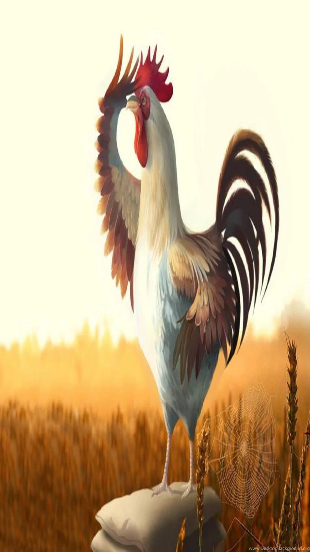 Rooster At Morning Iphone 6 Plus New Hd Wallpapers