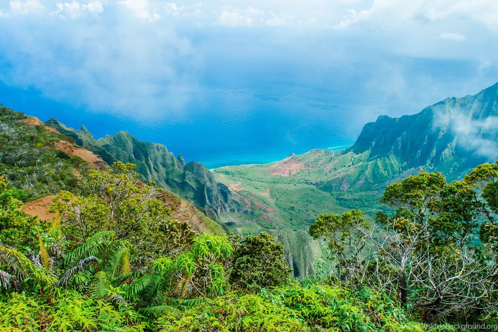 Kalalau Lookout Kauai Hawaii Tropical Jungle Forest Sea Ocean ...
